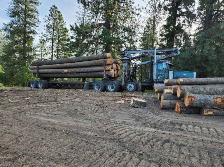 Clearing & Site Prep